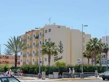 Ficus Playa Del Inlges *