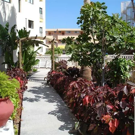 Ficus Playa Del Inlges Apartamento *