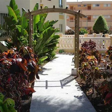 Ficus Playa Del Inlges * Playa del Inglés