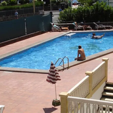 Ficus Playa Del Inlges *